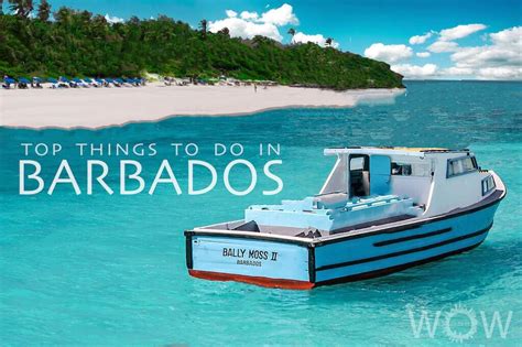 Top 9 Things To Do In Barbados Wow Travel