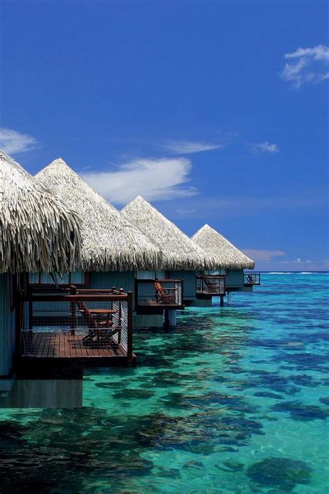 10 Dream Tropical Honeymoon Ideas Dream Vacations Dream Vacation