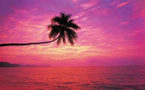 Most Beautiful Beaches Sunset Looking At This Beach Wallpaper Reminds