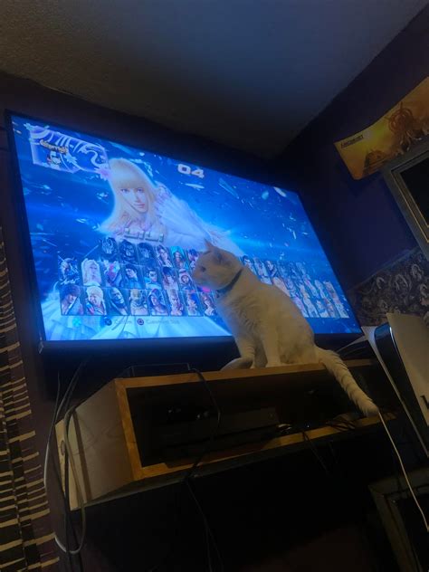 My Cat Likes Watching Me Play Tekken Rtekken