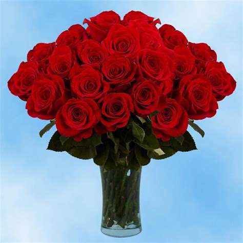Globalrose Fresh Valentines Day Red Roses 75 Extra Long Stems Red