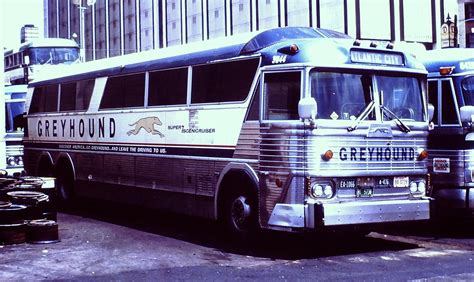 Greyhound Bus 3044 Mci Mc 7 Taken At Atlanta Ga On June Flickr