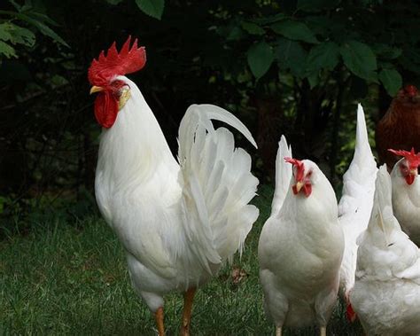 Maybe you would like to learn more about one of these? codebetter most interesting photos on FlickeFlu | Farm ...