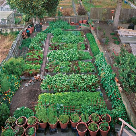 Productive Garden On A Small Urban Lot Vegetablegardener