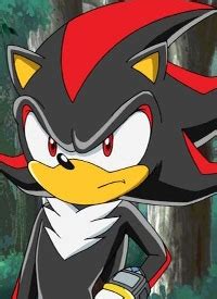 Shadow the Hedgehog (Character) | aniSearch
