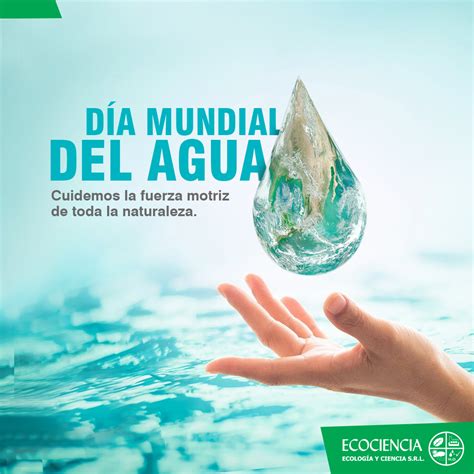 Ecociencia Día Mundial Del Agua