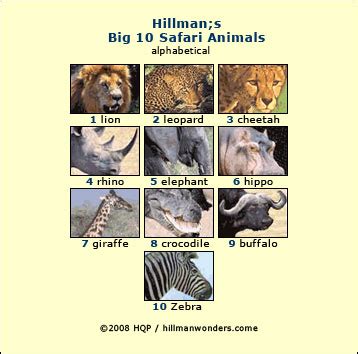 These are the five most sought after animals to see on an african safari. Big 10 safari animal list - By travel authority Howard Hillman