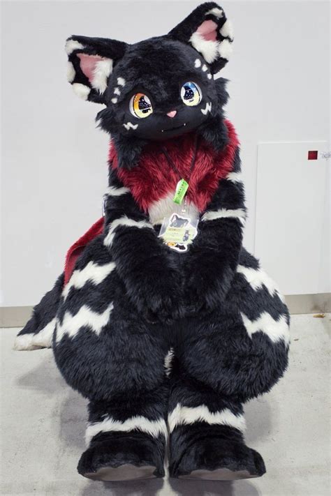 Cat furry, Anime furry, Fursuit furry