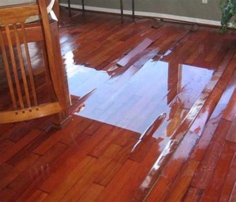 How To Detect Water Damage Around Your Home Water Damage Fire Smoke
