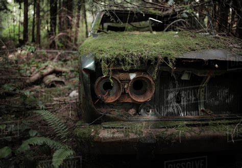 Close Up Of Moss On Abandoned Car In Forest Stock Photo Dissolve
