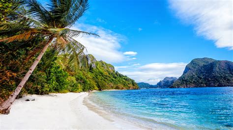 Wallpaper Philippines Beach Sea Palm Trees Blue Sky