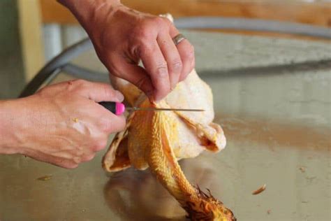 How To Butcher A Chicken The Prairie Homestead