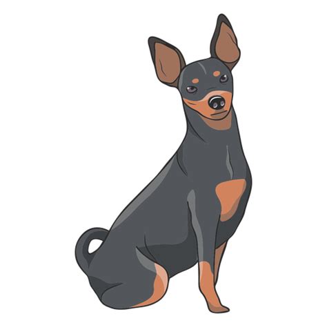 Pinscher Dog Illustration Transparent Png And Svg Vector File
