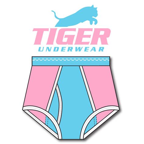 Boys Pink And Blue Double Seat Brief Tiger Underwear