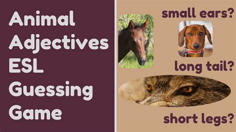 Animal Adjectives Beginners Level Premade Esl Guessing Game Does