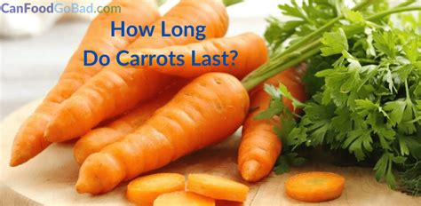 How Long Do Carrots Last How To Store Carrots And Make Them Fresh