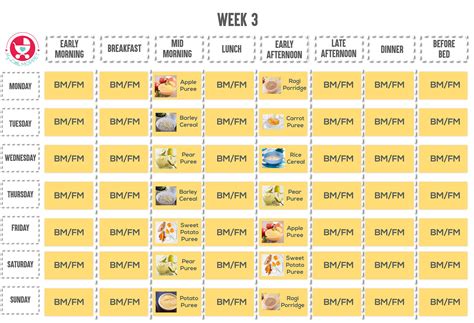 6 Months Baby Food Chart With Detailed Delicious Indian Recipes