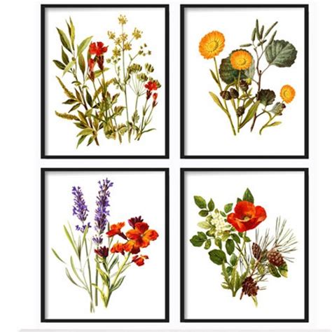 Botanical Print Set Of 4 Botanical Illustration Botanical Etsy