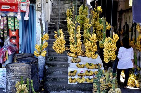 Banana Shop Banana Shop Shopping Street Trip Planning