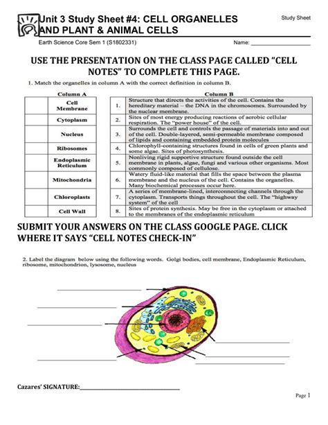 Cell biology and plant life have never been this exciting, memorable and engaging! Unit 3 Study Sheet #4: CELL ORGANELLES