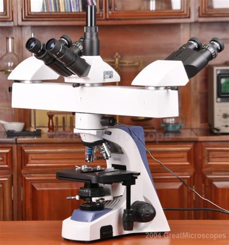 3 Head Teaching Microscope Student Teacher Version Objectives Plan