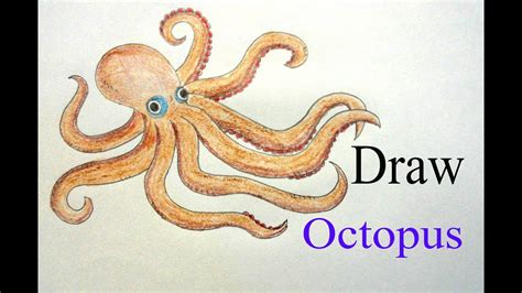 How To Draw Octopus Step By Step Very Easy Youtube