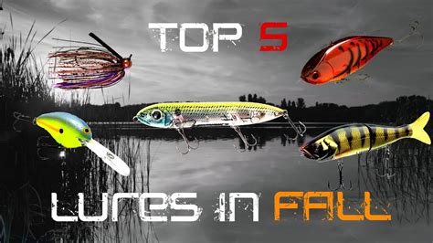 Top 5 Fall Baits To Catch Bigger Bass Youtube