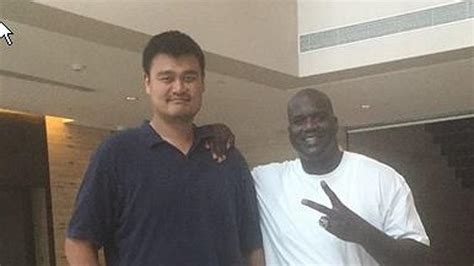 Yao Ming Makes Shaq Look Small In Amazing Photograph The Courier Mail