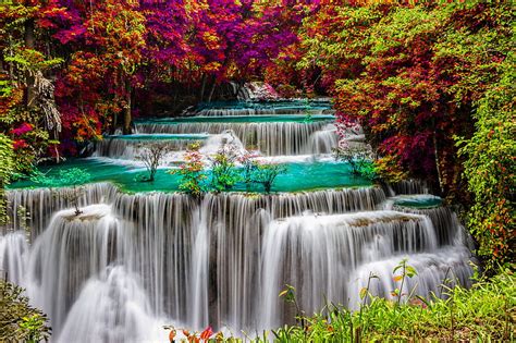 Forest Cascades Cascades Trees Colorful Forest Waterfall Bonito