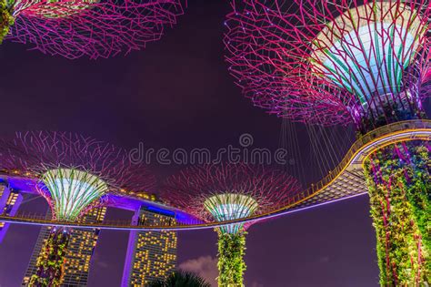 Skywalk In Gardens By The Bay In Singapore Editorial Stock Image