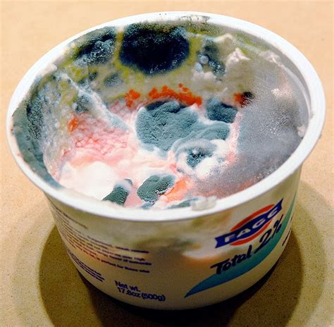 While there are lots of benefits associated this is because even after the expiring date of yogurt, it is still very safe for consumption and not while a lot of people will mostly rely on the expiry date of yogurt to tell if it's bad, there are more. VE's Fantastical Nonsense: Excerpts from Australia - The ...