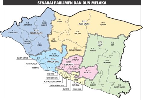 Bentuk proyeksinya terdiri atas normal, transversal, dan oblique/miring. Krim Selsema & Batuk Bayi: Agen Baby Herbal Cream Tropika ...