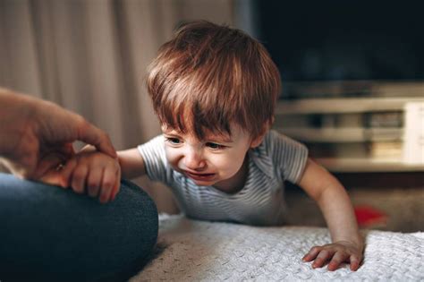 Toddler Aggression When To Worry Signs Of High Risk Behavior