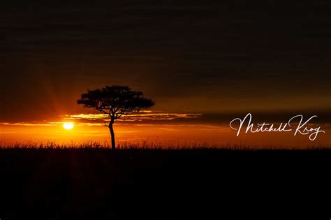 African Sunrise Landscape
