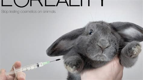 Petition · Stop Cosmetic Companies From Animal Testing ·