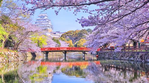 Images Tokyo Japan Nature Spring Bridges Rivers Flowering 1920x1080