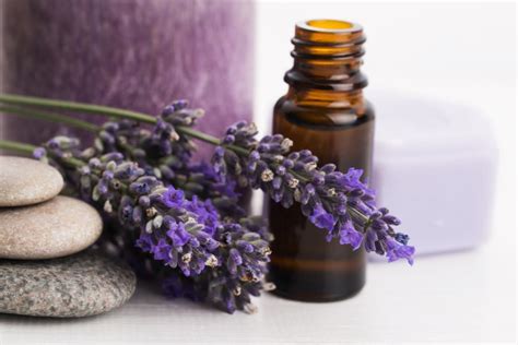 Lavender Oil Benefits For Skin Use It For Healthier Skin