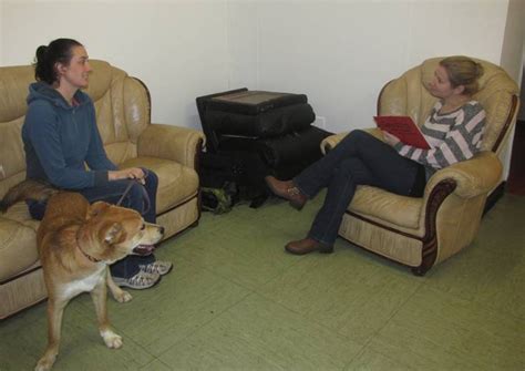 Lap dance unleashed reveals lap dancing lessons. Become a professional dog behaviourist. Learn from ...
