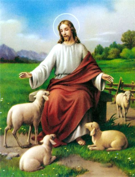 Jesus And Animals