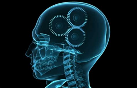 Not sure how this translates to images, but wanted to share it. Learn Psychology! | Pearltrees