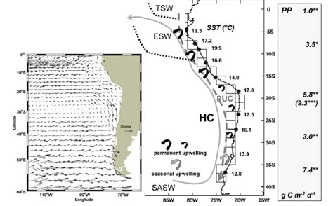 Main Characteristics Of The Humboldt Current System Hcs Left Mean