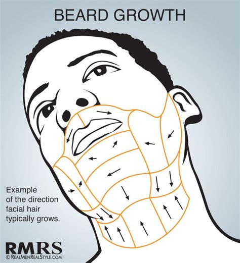 Shave Maps Infographic How To Shave Correctly Which Direction Do You Shave Your Face Hair