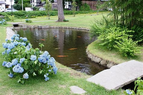 Sustainable Backyard Fish Farming How To Dig A Pond And Raise Fish