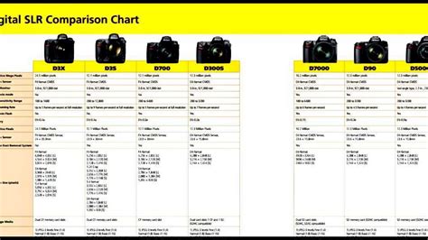 Comparison Of Nikon Dslr Cameras Hot Sex Picture