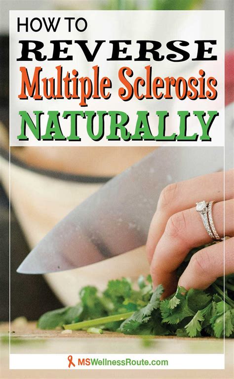 Reverse Multiple Sclerosis Naturally Ms Wellness Route