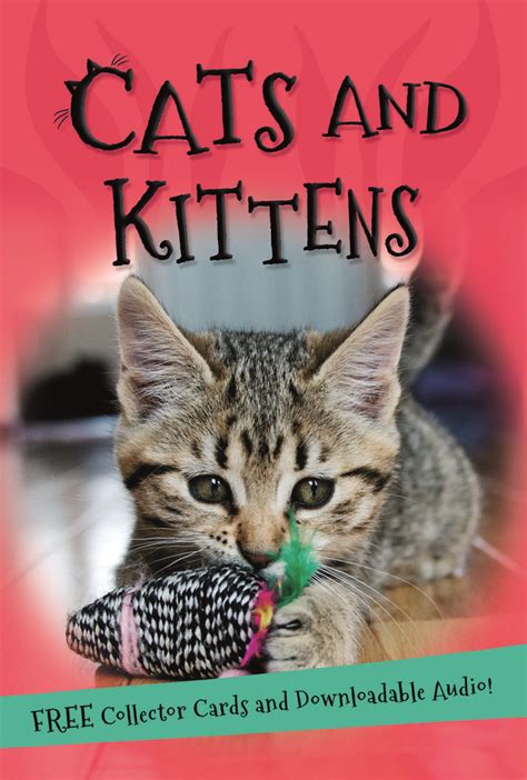 Its All About Cats And Kittens Editors Of Kingfisher Macmillan