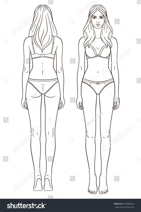 Vector illustration of woman's body. Isolated outline, line, contour ...