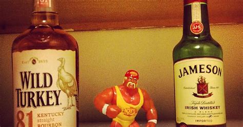 My Saturday Night With Hulk Hogan Imgur