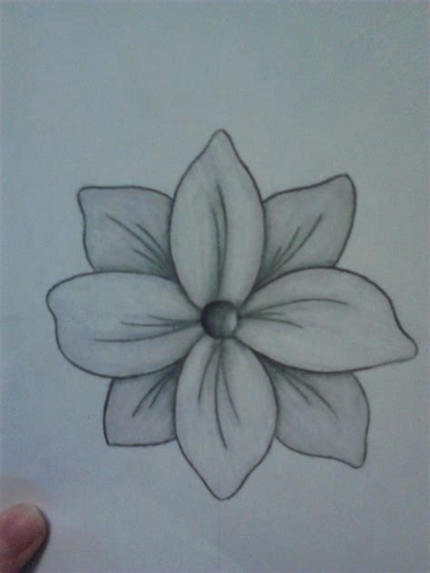 Flower pencil drawing. Drawn by Lindsey chapman | Pencil drawings of