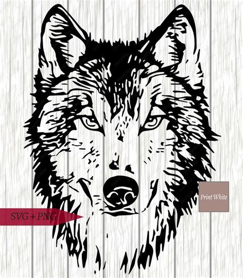 215 Baby Wolf Svg Free SVG PNG EPS DXF File - Free SVG Files To